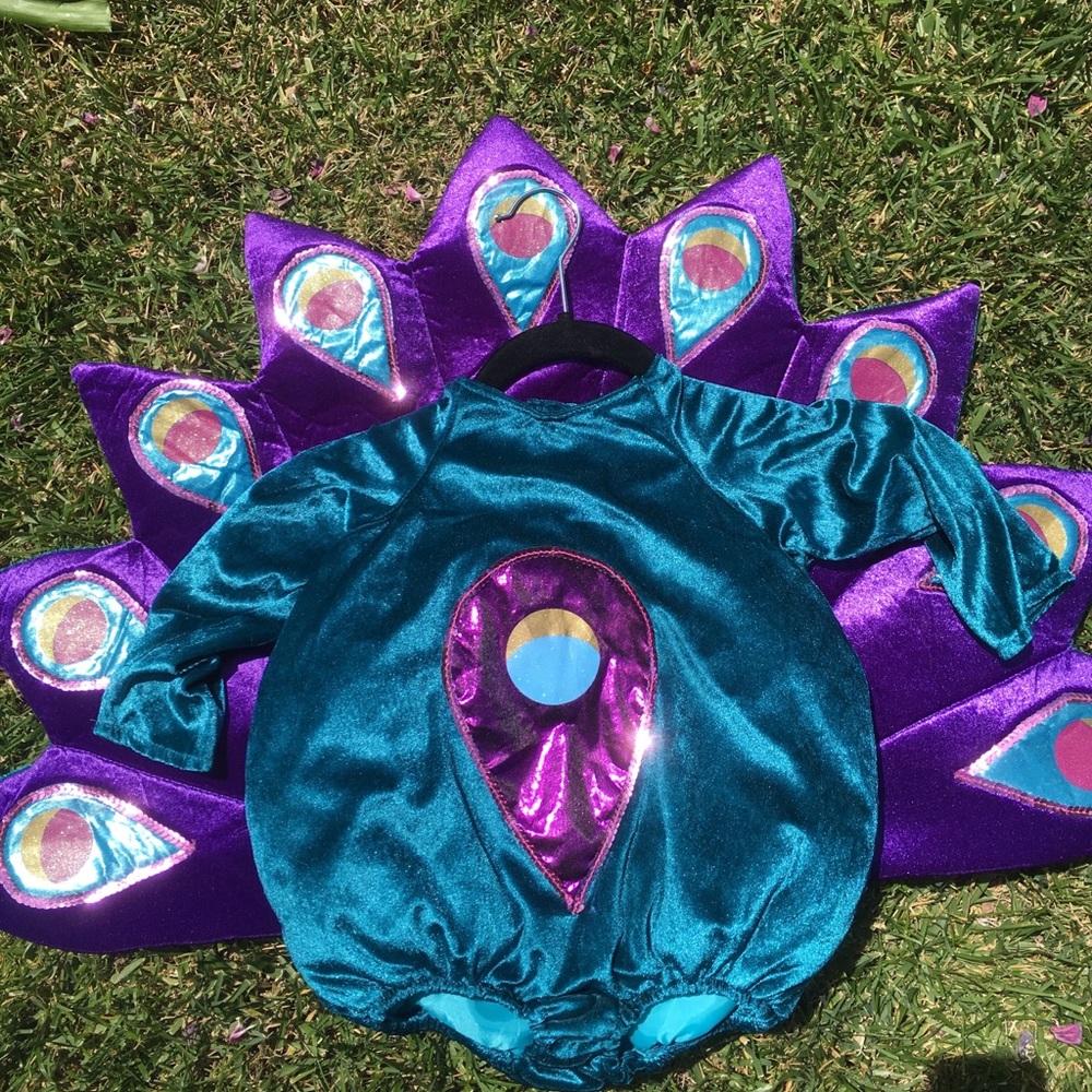 Peacock costume 12-18 months